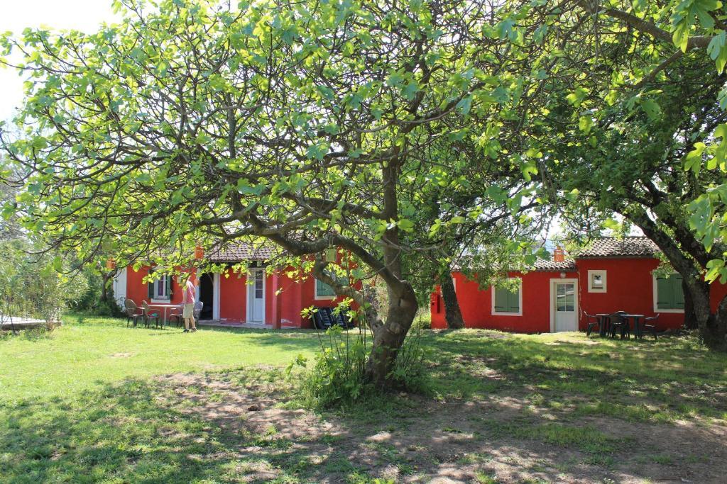 Hotel Le Couloubrier Le Muy Værelse billede